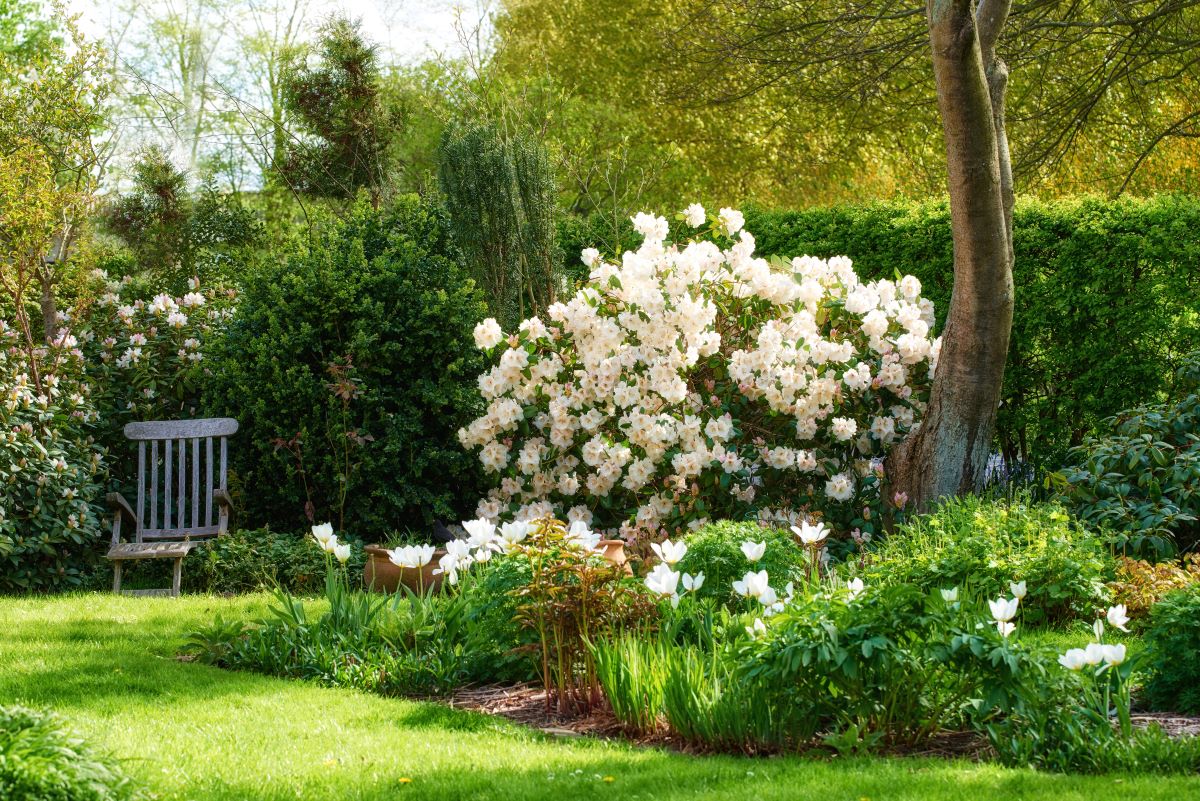 Ruhe im eigenen Garten — der perfekte Rückzugsort in Wittenb